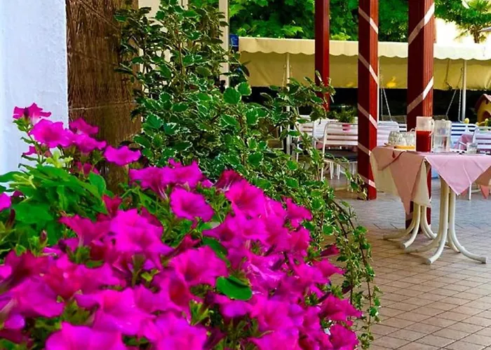 Hotel Alessi** Rimini